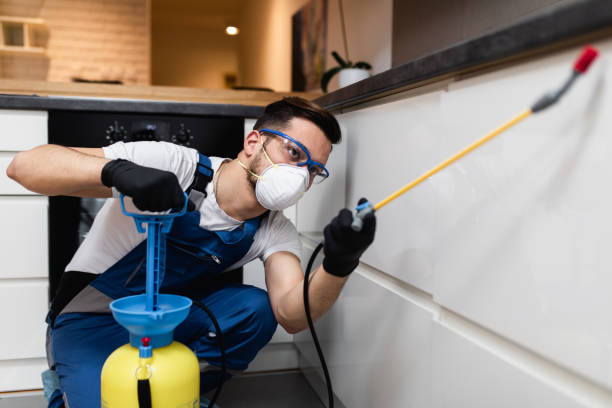 Best Mosquito Control Services  in Bardonia, NY