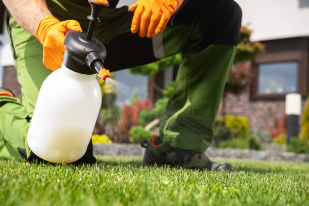 Best Emergency Pest Control  in Bardonia, NY