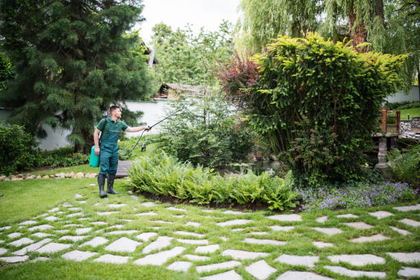 Best Affordable Pest Control Services  in Bardonia, NY