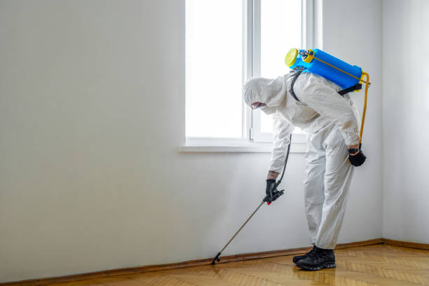 Best Flea Control Services  in Bardonia, NY