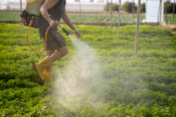 Best Pest Removal Services  in Bardonia, NY