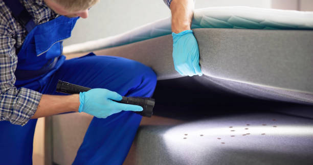 Best Pest Control Near Me  in Bardonia, NY