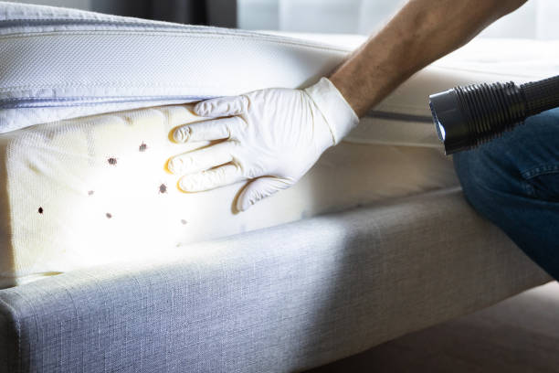 Best Mosquito Control Services  in Bardonia, NY