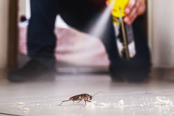 Insect Control in Bardonia, NY