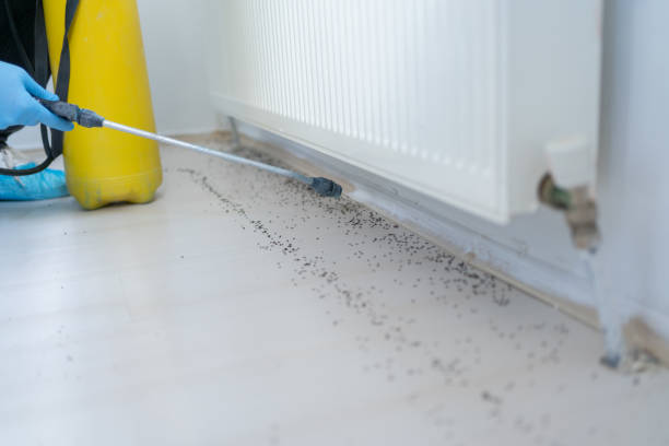 Best Pest Control for Homes  in Bardonia, NY